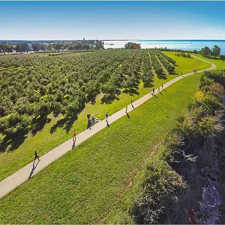 Esmeralda Ii Comfortable Villa Novigrad (Istria)