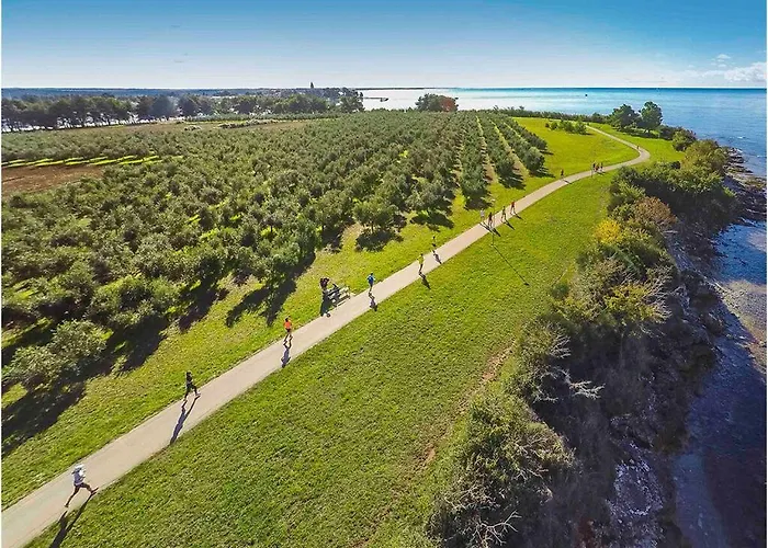 Esmeralda Ii Comfortable ヴィラ Novigrad Istria