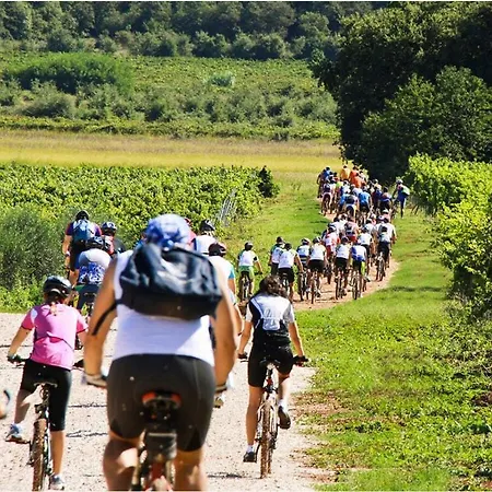 Esmeralda Ii Comfortable Villa