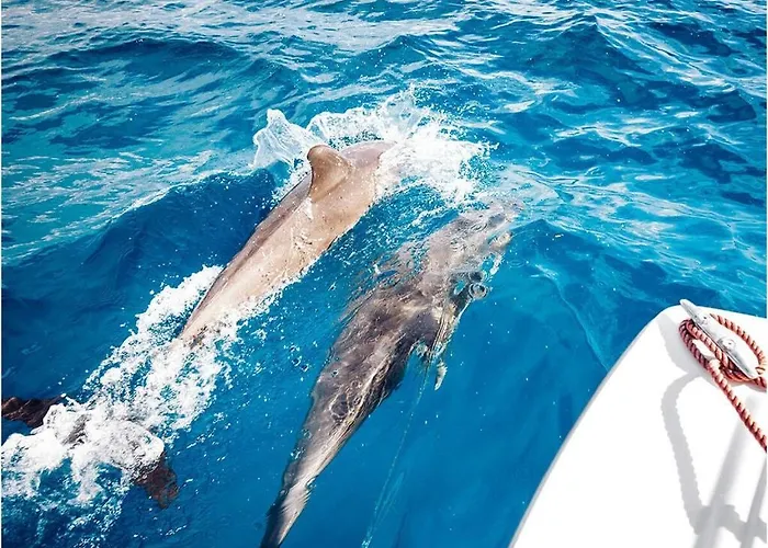 Villa Esmeralda Ii Comfortable