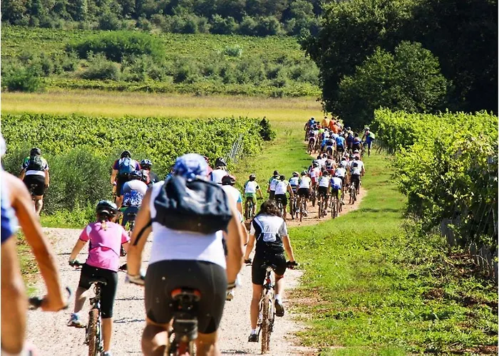 Esmeralda Ii Comfortable Villa